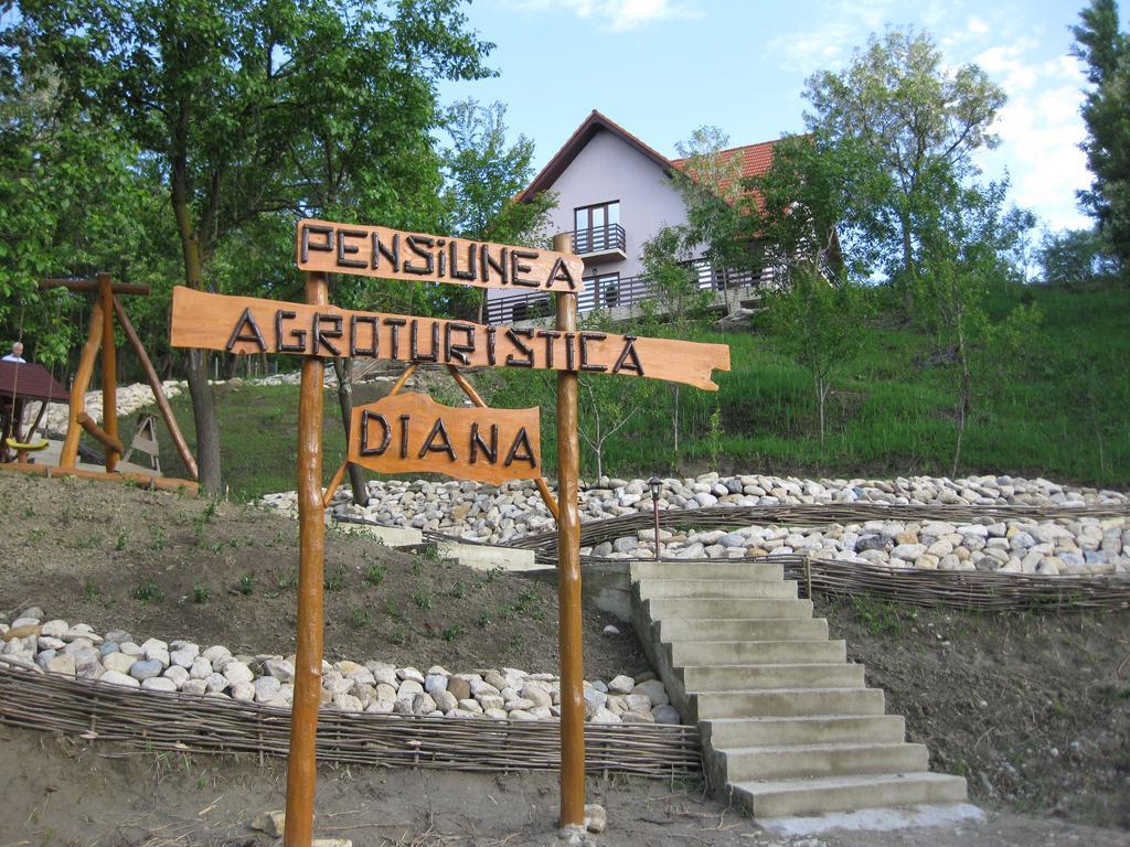 Pensiunea Agroturistica Diana Magura  Εξωτερικό φωτογραφία