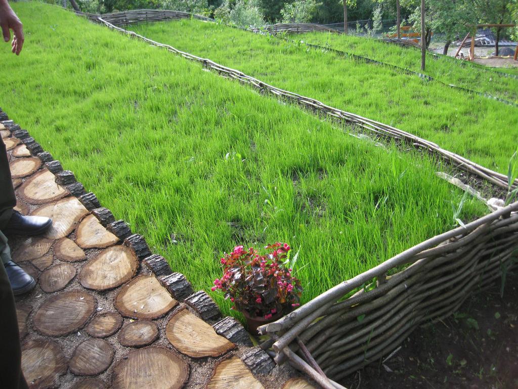 Pensiunea Agroturistica Diana Magura  Εξωτερικό φωτογραφία