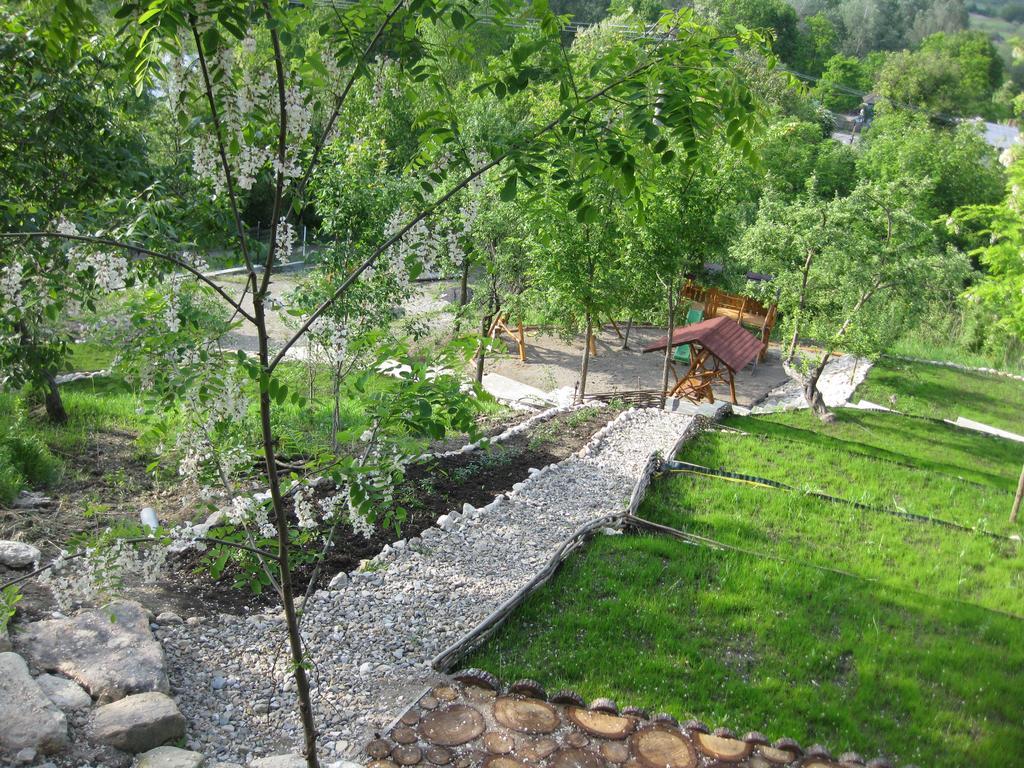 Pensiunea Agroturistica Diana Magura  Εξωτερικό φωτογραφία
